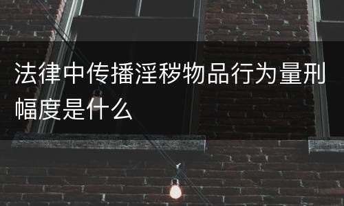 法律中传播淫秽物品行为量刑幅度是什么