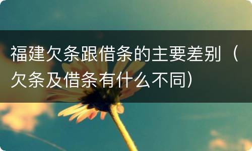 福建欠条跟借条的主要差别（欠条及借条有什么不同）
