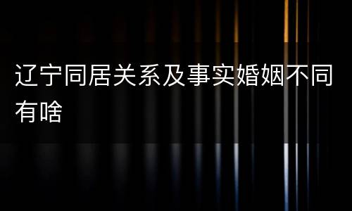 辽宁同居关系及事实婚姻不同有啥