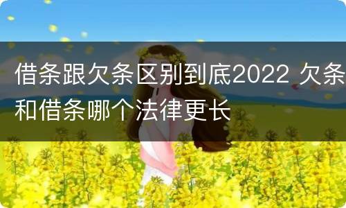 借条跟欠条区别到底2022 欠条和借条哪个法律更长