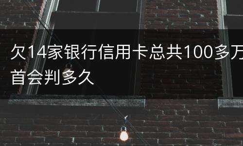 欠14家银行信用卡总共100多万首会判多久