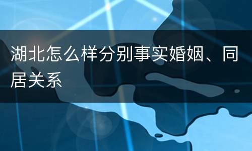 湖北怎么样分别事实婚姻、同居关系