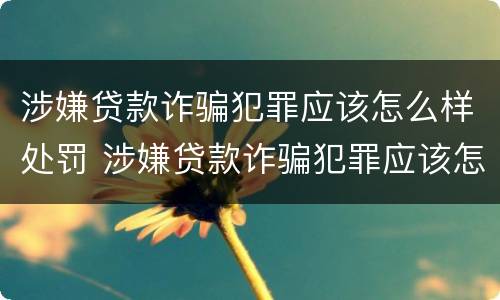 涉嫌贷款诈骗犯罪应该怎么样处罚 涉嫌贷款诈骗犯罪应该怎么样处罚他