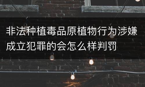 非法种植毒品原植物行为涉嫌成立犯罪的会怎么样判罚