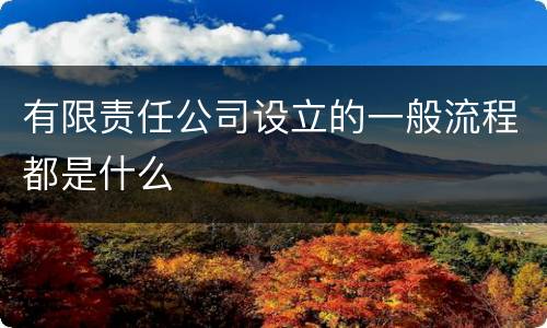 有限责任公司设立的一般流程都是什么