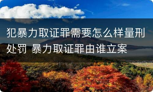 犯暴力取证罪需要怎么样量刑处罚 暴力取证罪由谁立案