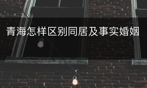 青海怎样区别同居及事实婚姻