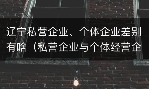 辽宁私营企业、个体企业差别有啥（私营企业与个体经营企业的区别）