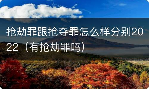 抢劫罪跟抢夺罪怎么样分别2022（有抢劫罪吗）
