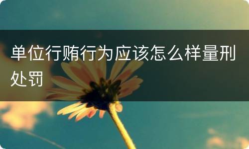 单位行贿行为应该怎么样量刑处罚