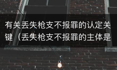 有关丢失枪支不报罪的认定关键（丢失枪支不报罪的主体是什么）