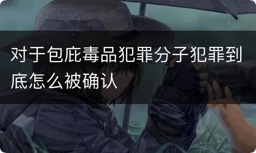 对于包庇毒品犯罪分子犯罪到底怎么被确认