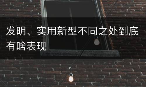 发明、实用新型不同之处到底有啥表现