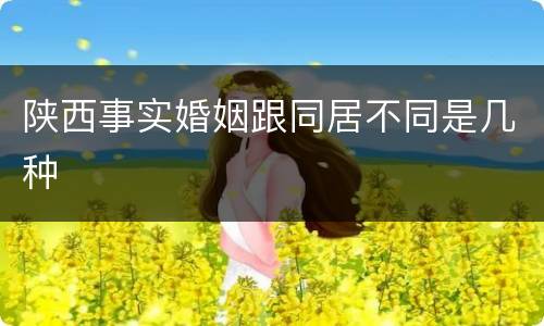 陕西事实婚姻跟同居不同是几种