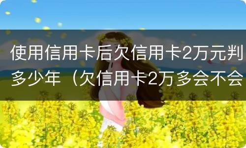 使用信用卡后欠信用卡2万元判多少年（欠信用卡2万多会不会坐牢）