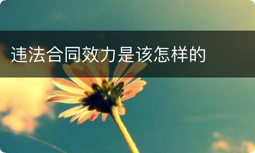 违法合同效力是该怎样的