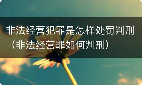 非法经营犯罪是怎样处罚判刑（非法经营罪如何判刑）