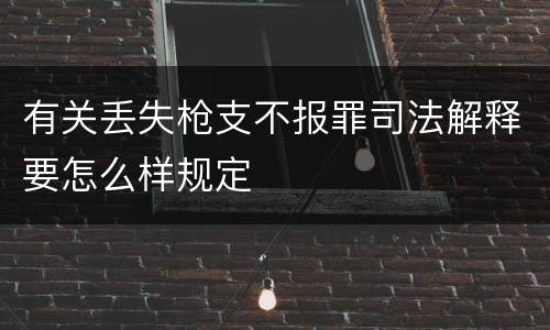 有关丢失枪支不报罪司法解释要怎么样规定