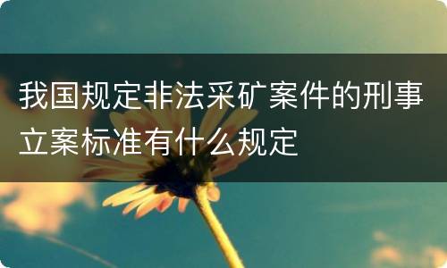 我国规定非法采矿案件的刑事立案标准有什么规定