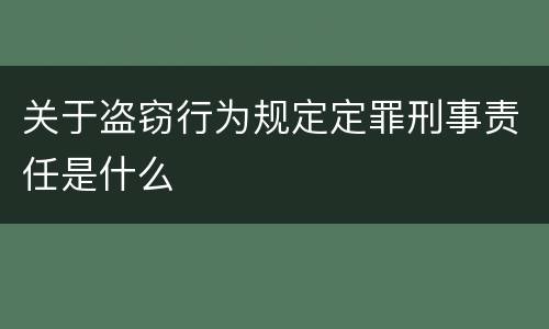 关于盗窃行为规定定罪刑事责任是什么