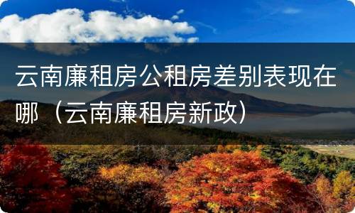 云南廉租房公租房差别表现在哪（云南廉租房新政）
