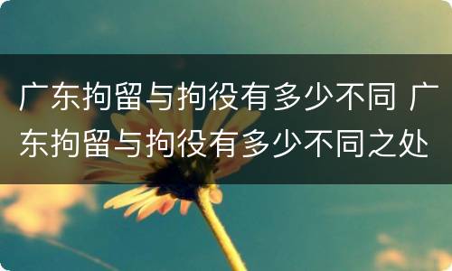 广东拘留与拘役有多少不同 广东拘留与拘役有多少不同之处