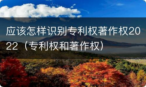 应该怎样识别专利权著作权2022（专利权和著作权）