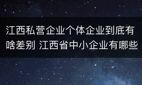 江西私营企业个体企业到底有啥差别 江西省中小企业有哪些