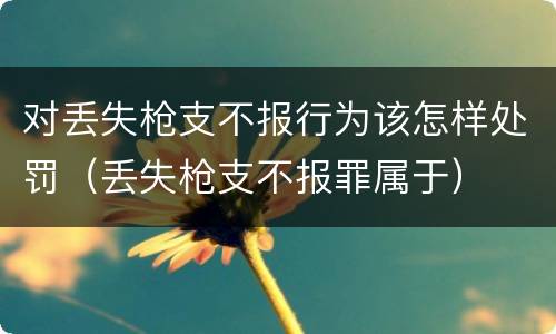 对丢失枪支不报行为该怎样处罚（丢失枪支不报罪属于）