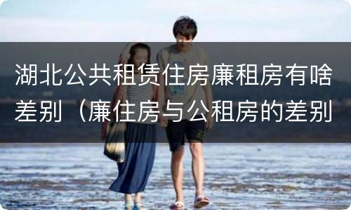 湖北公共租赁住房廉租房有啥差别（廉住房与公租房的差别）