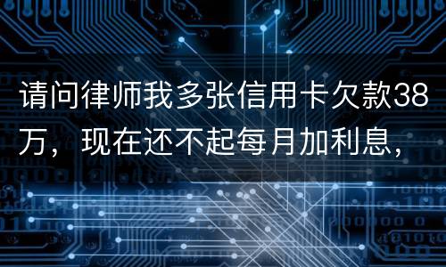 请问律师我多张信用卡欠款38万，现在还不起每月加利息，我怎么可以协商还银行