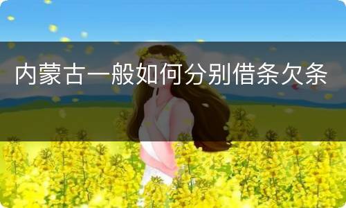 内蒙古一般如何分别借条欠条