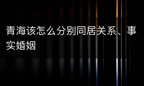 青海该怎么分别同居关系、事实婚姻