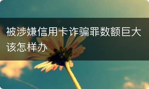 被涉嫌信用卡诈骗罪数额巨大该怎样办