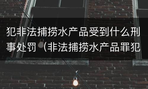 犯非法捕捞水产品受到什么刑事处罚（非法捕捞水产品罪犯罪构成）