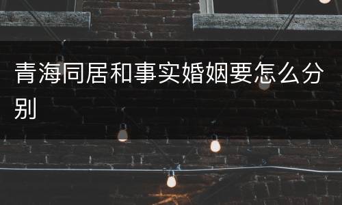 青海同居和事实婚姻要怎么分别