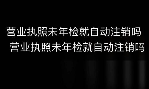 营业执照未年检就自动注销吗 营业执照未年检就自动注销吗