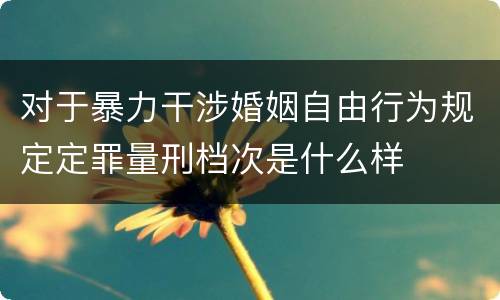 对于暴力干涉婚姻自由行为规定定罪量刑档次是什么样