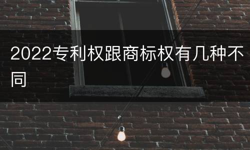 2022专利权跟商标权有几种不同