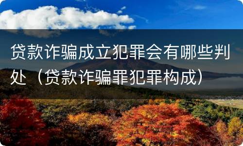 贷款诈骗成立犯罪会有哪些判处（贷款诈骗罪犯罪构成）