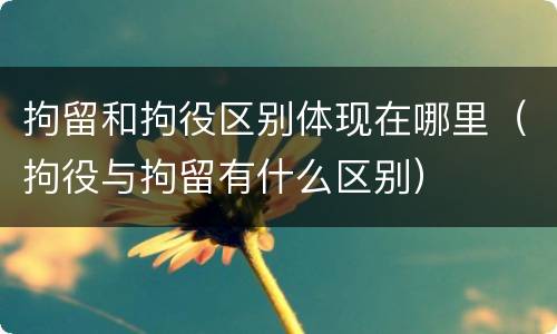 拘留和拘役区别体现在哪里（拘役与拘留有什么区别）