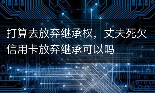 打算去放弃继承权，丈夫死欠信用卡放弃继承可以吗