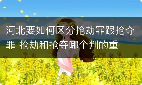 河北要如何区分抢劫罪跟抢夺罪 抢劫和抢夺哪个判的重