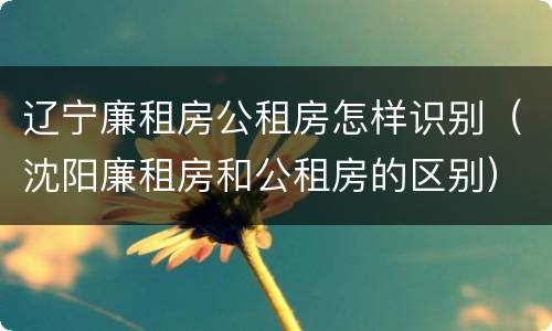 辽宁廉租房公租房怎样识别（沈阳廉租房和公租房的区别）
