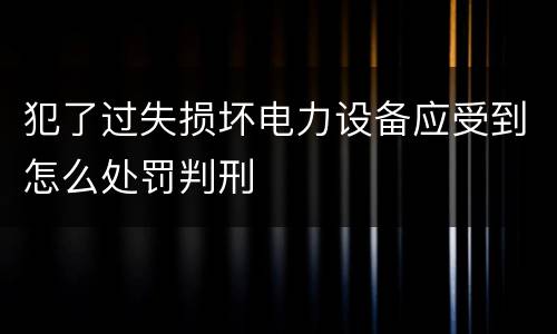 犯了过失损坏电力设备应受到怎么处罚判刑