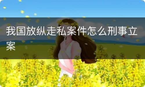 我国放纵走私案件怎么刑事立案