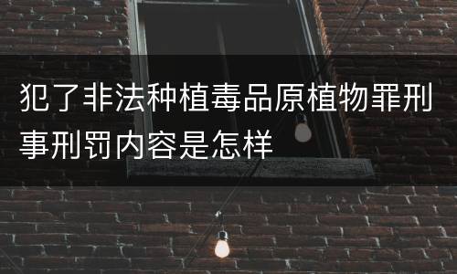 犯了非法种植毒品原植物罪刑事刑罚内容是怎样
