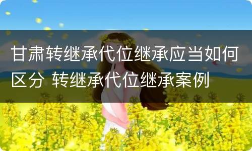 甘肃转继承代位继承应当如何区分 转继承代位继承案例