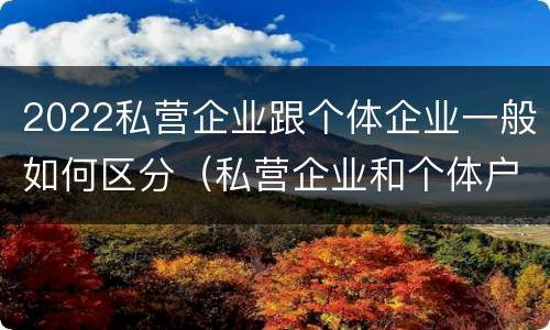 2022私营企业跟个体企业一般如何区分（私营企业和个体户的区别）