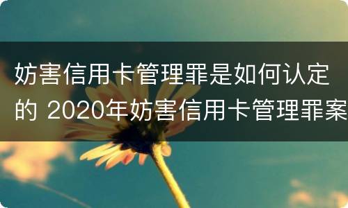 妨害信用卡管理罪是如何认定的 2020年妨害信用卡管理罪案例